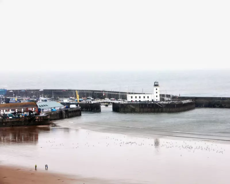 Pollution Crisis: 1 in 7 English Bathing Spots Deemed Unsafe