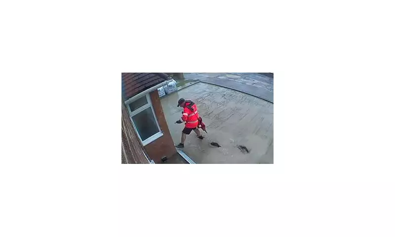 Postal Worker's Cement Catastrophe: Royal Mail Employee Caught on Camera Trampling Freshly Laid Driveway