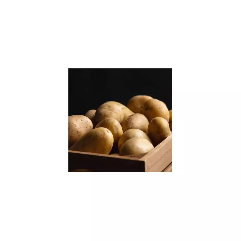 Potatoes Stay Fresh for 6 Months with Tesco's Storage Guide