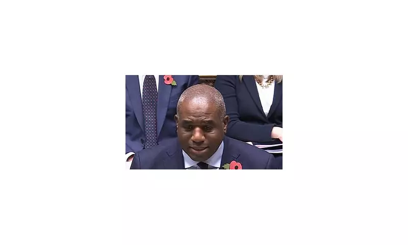 Prisoner wrongly freed under Lammy commits stalking offence