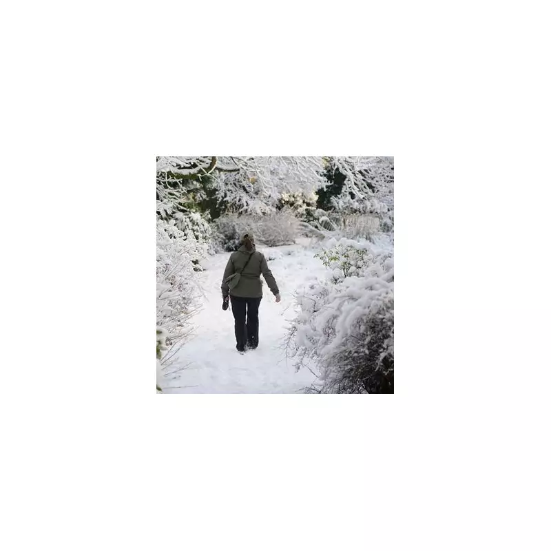 RHS Urges Gardeners to Act Now as Snow and Frost Hit UK