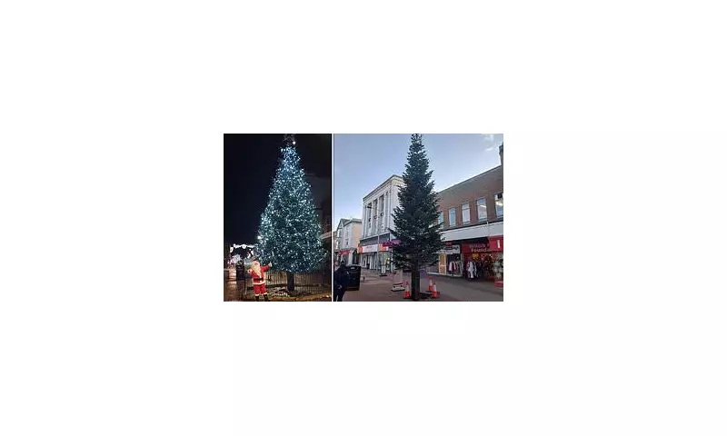 Rhyl's 'Skinny' Christmas Tree Mocked as Symbol of Shrinkflation