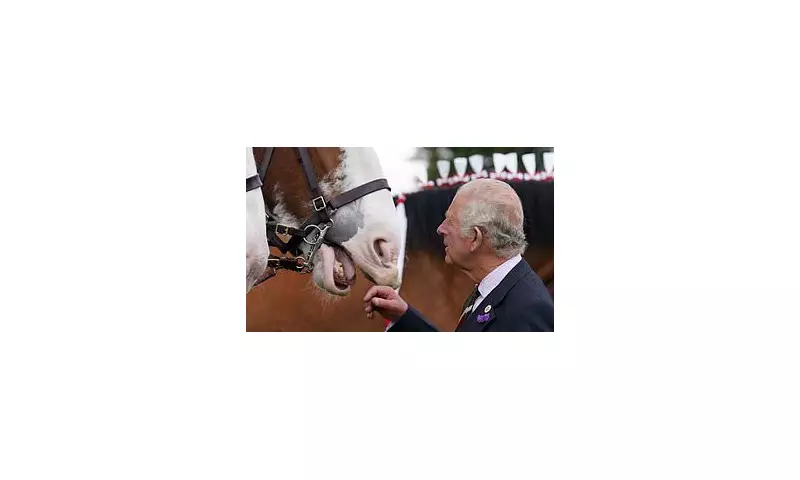 Royal Horse Racing Trainers Warn Budget Betting Tax Threatens Industry