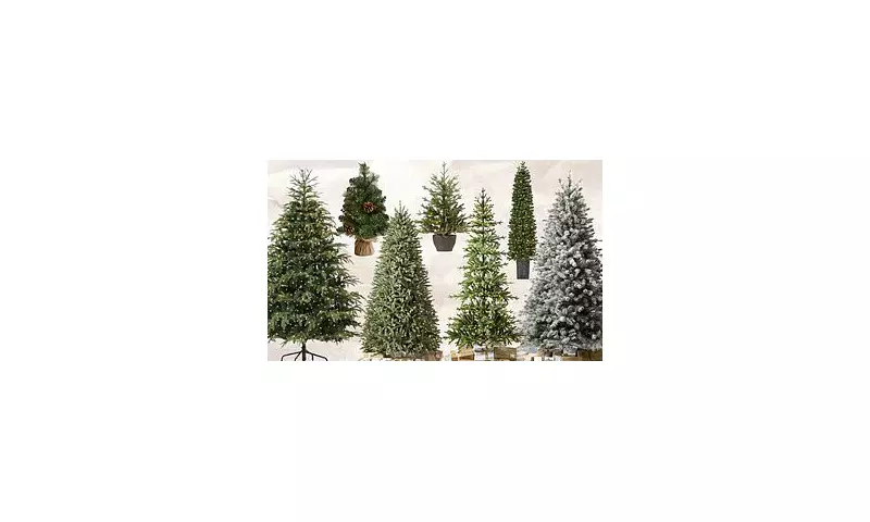 Royal Roots of Christmas Trees: Queen Charlotte's 1800 Tradition