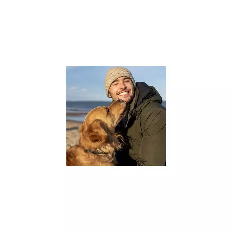 RSPCA's Urgent Winter Dog Warning: Never Leave Pets in Cars