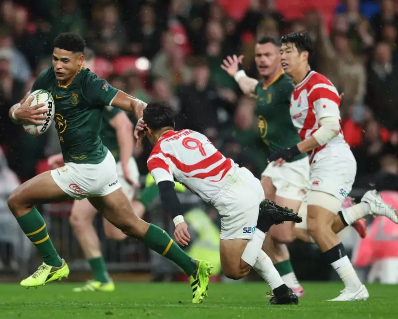Sacha Feinberg-Mngomezulu Stars in South Africa's Nine-Try Demolition of Japan