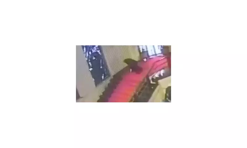 Sardinian Politician Trips, Shatters Priceless 1932 Stained Glass Window