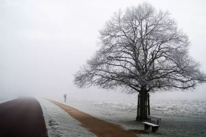 Scotland Braces for Icy Blast as Met Office Issues Yellow Warnings