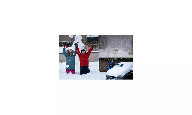 Scotland's Arctic Blast: -11C Chill Closes 100+ Schools
