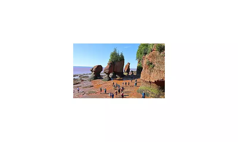 Secret French Island Revealed: Walk Across the Ocean Floor to Reach This Hidden Gem