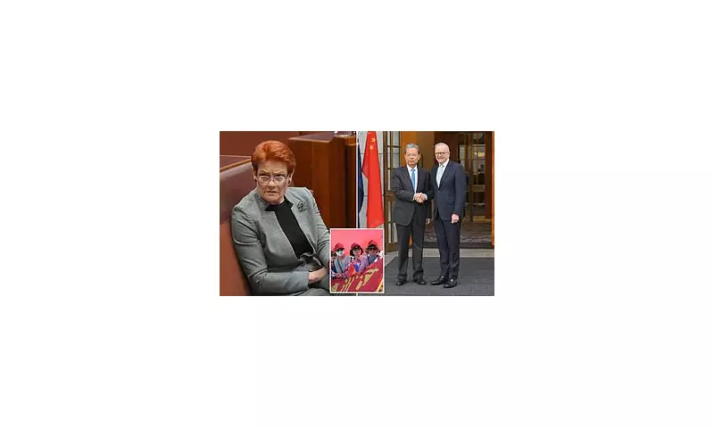 Senator Hanson Leaks Sensitive Email on Chinese Official's Parliament Visit