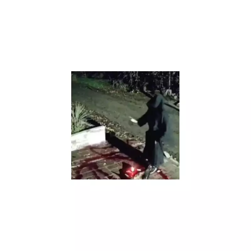 Shocking CCTV Captures Man's Brazen Daylight Attack on Elderly Woman in Street