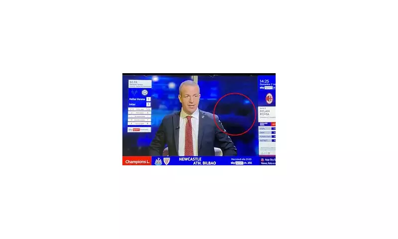 Sky Sports Italy Interns Sacked After On-Air Goal Celebration Goes Viral