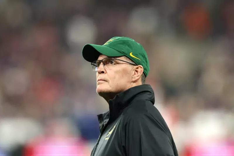 Springboks Face Italy in Turin: Live Updates from Rugby Clash