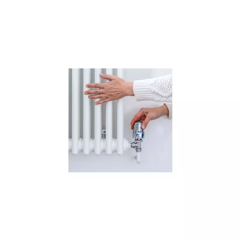 Stay Warm for 2p an Hour: Beat UK Arctic Blast Without Central Heating