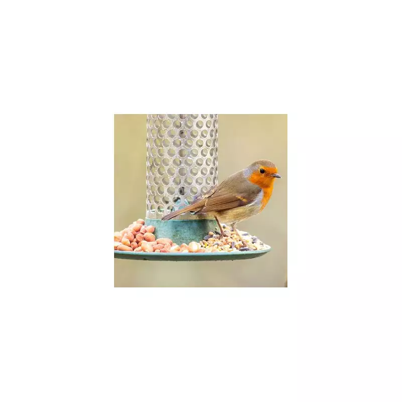 Stop Rats in Your Garden with One Common Spice This Winter