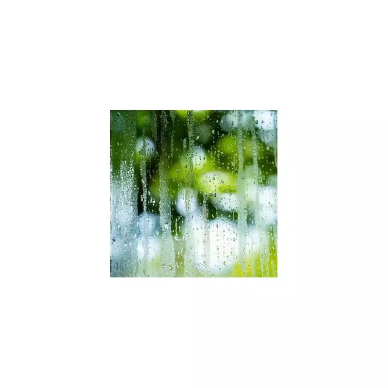 Stop Window Condensation with 2 Houseplants, Experts Reveal