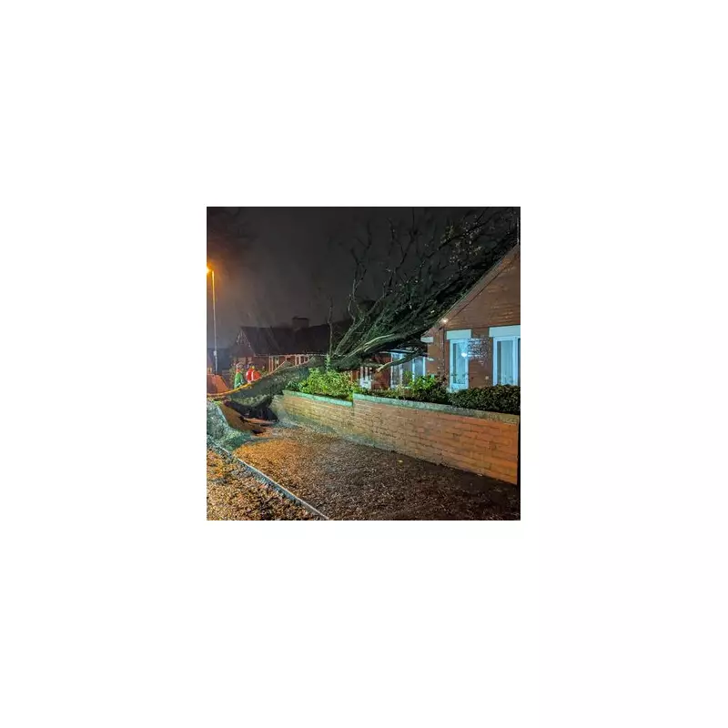 Storm Claudia Chaos: Tree Smashes Bungalow, Flood Warnings Issued