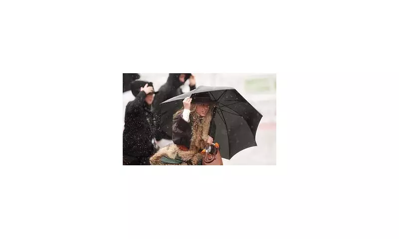 Storm Claudia Threatens Cheltenham Day Two With Month's Rain in 24 Hours