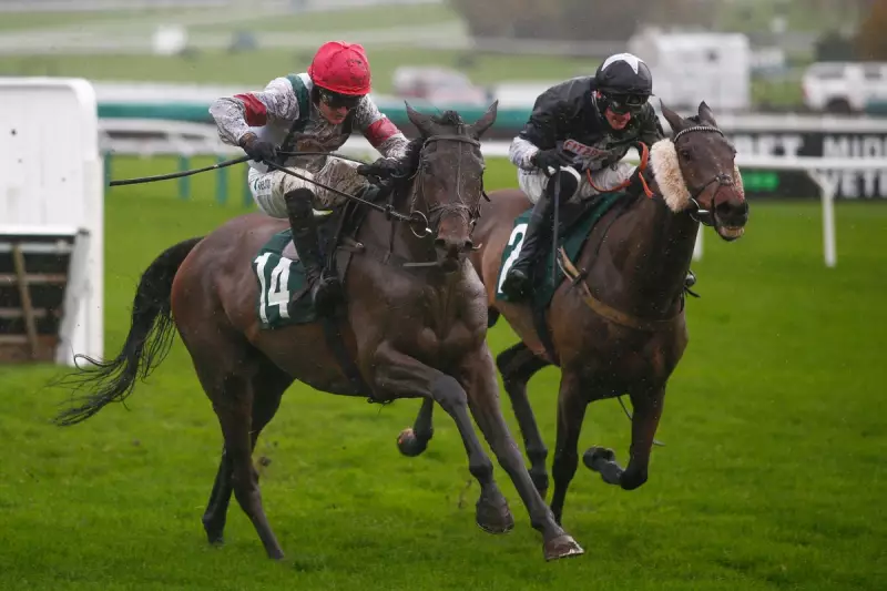 Sunday Horse Racing Tips: Best Bets for Cheltenham & Navan