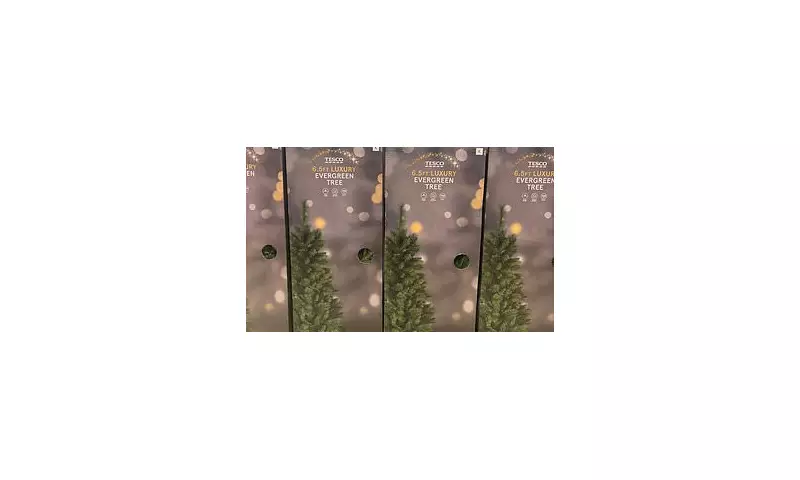 Tesco's 'Evergreen Trees' Spark Woke Backlash from Brits