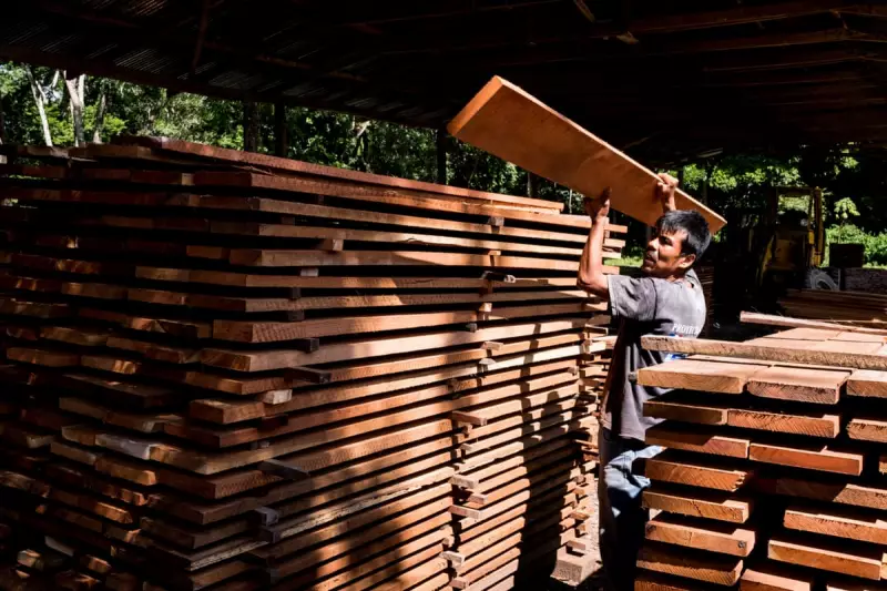 The Green Veneer Cracks: Are Your 'Sustainable' Wood Products Fuelling Forest Destruction?
