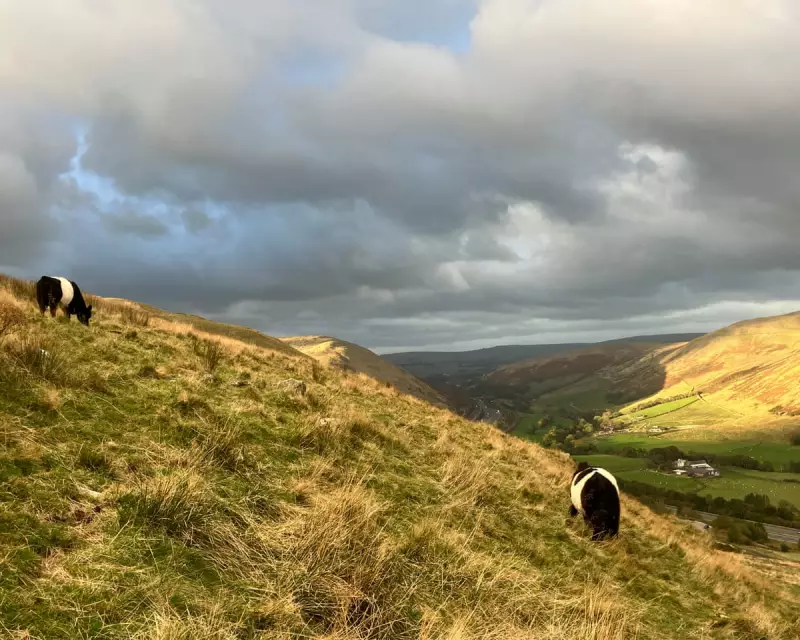 The Quiet Tech Revolution Sweeping British Farms: How Remote Control is Transforming Agriculture