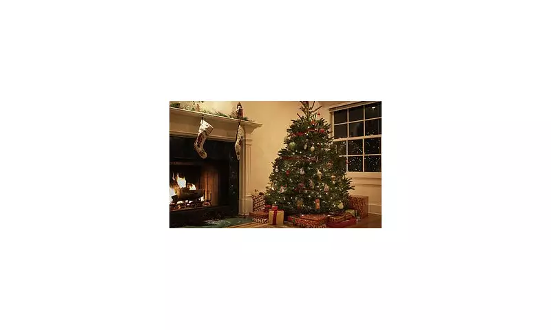 The Science of Christmas Trees: How Pine Scent Boosts Your Health