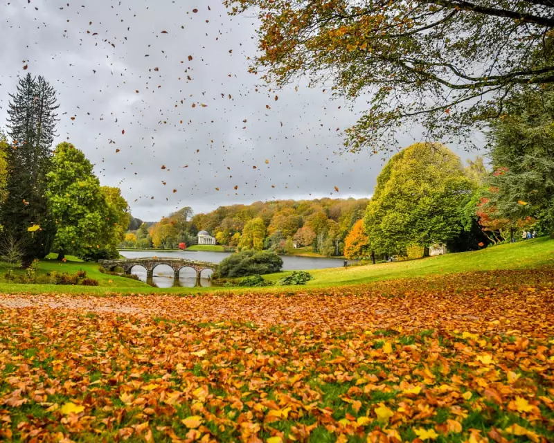 The Science of Psithurism: Why We Hear the Wind in the Trees