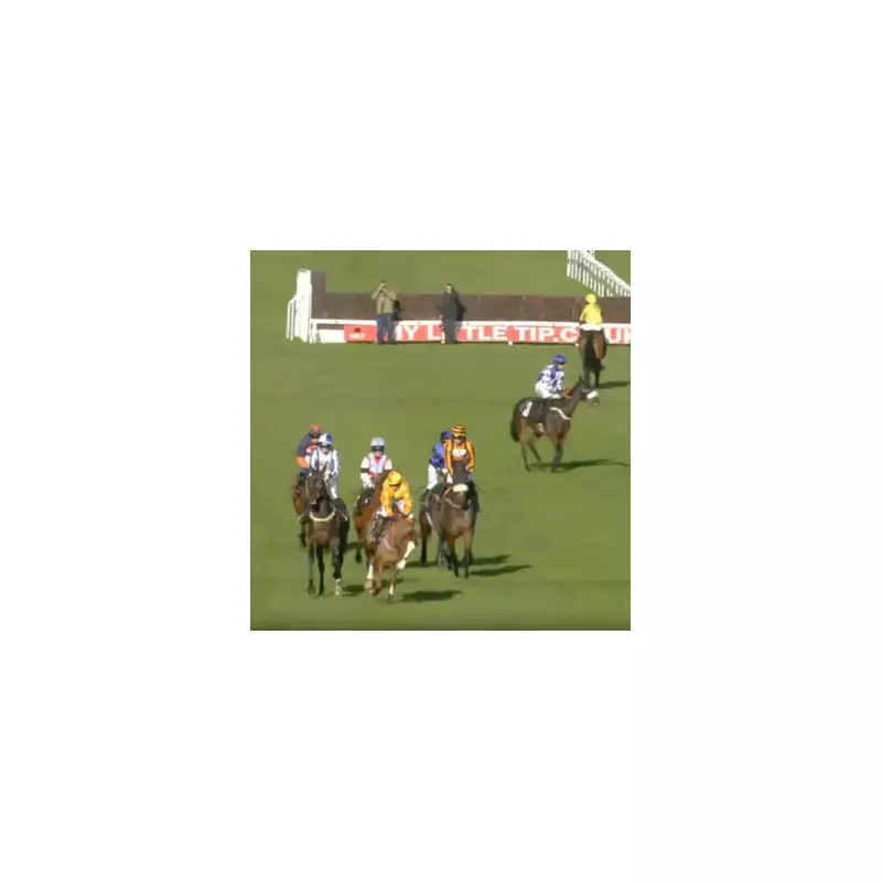 Three Jockeys Banned After Plumpton Race Chaos Over Flag Confusion