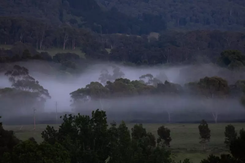 Three Months On: The Hunt for Dezi Freeman and Unanswered Questions