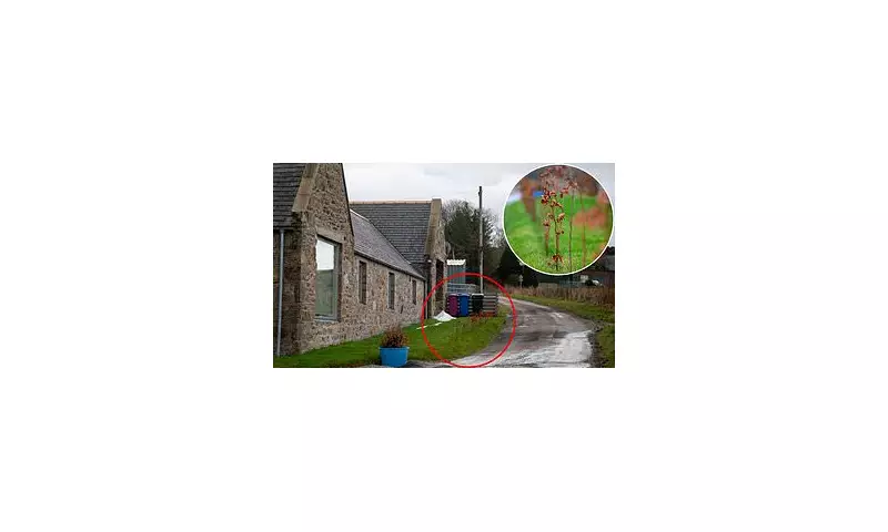 Tiny 2ft Hedge Sparks Major Safety Row with Moray Council