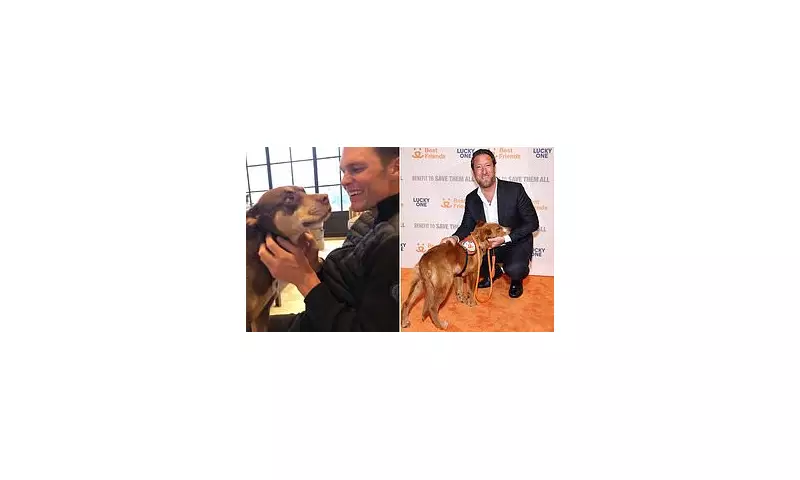 Tom Brady's Canine Clone: Barstool Sports Founder Dave Portnoy Reveals NFL Legend Cloned His Beloved Dog