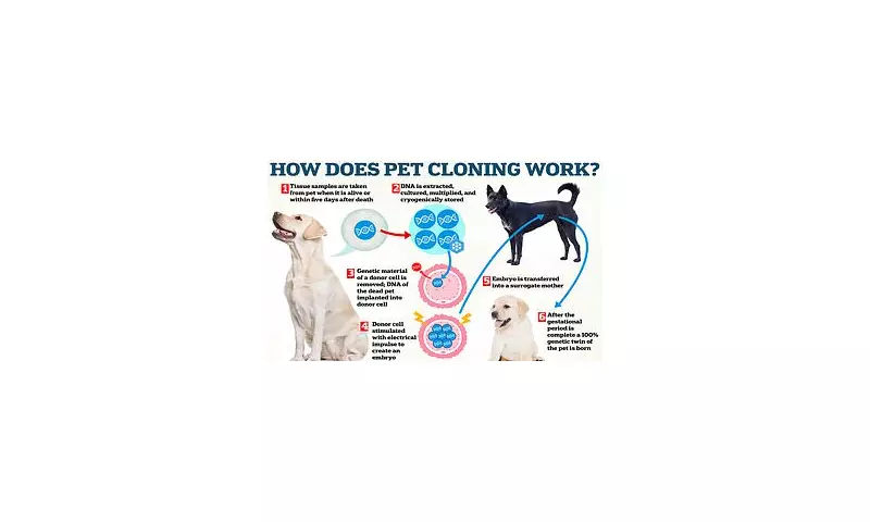 Tom Brady's Cloned Dog Reveals Shocking Genetic Differences | Science Breakthrough