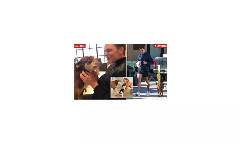 Tom Brady's Secret Revealed: NFL Legend Clones His Beloved Dog in Extraordinary Move