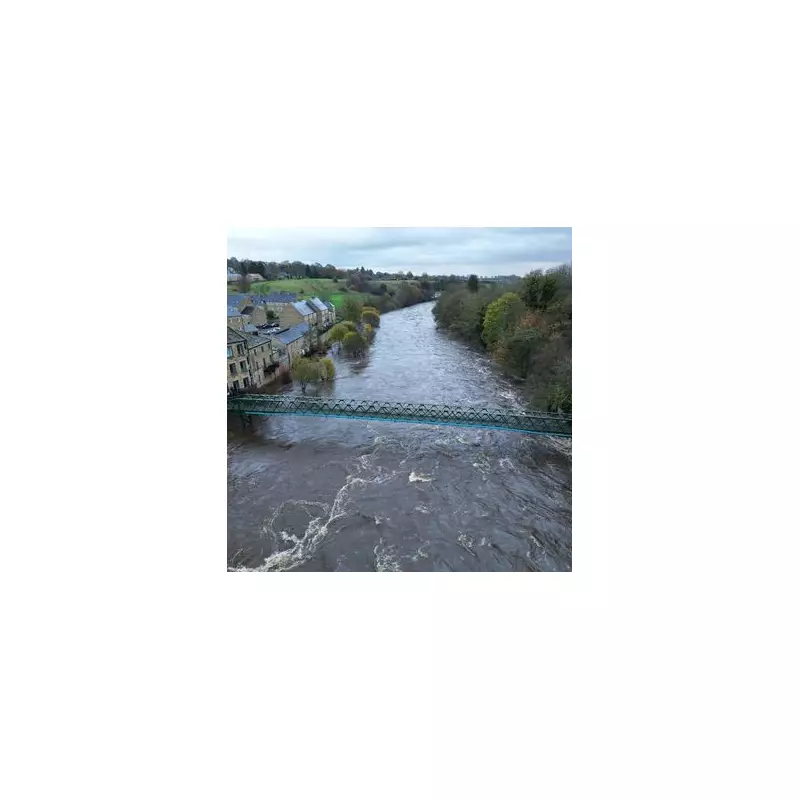 Tragedy in River Tees: 20-Year-Old Woman's Body Recovered