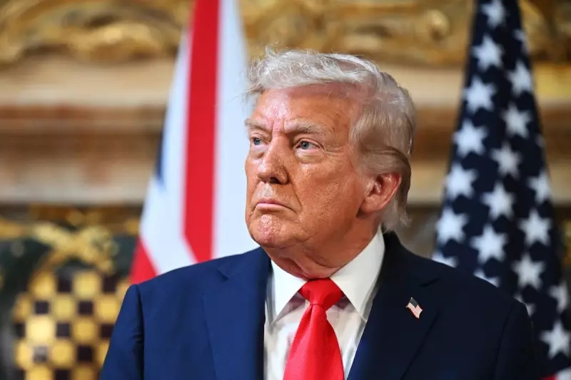 Trump 'Must Have Known' About Epstein Victims, Survivor Claims