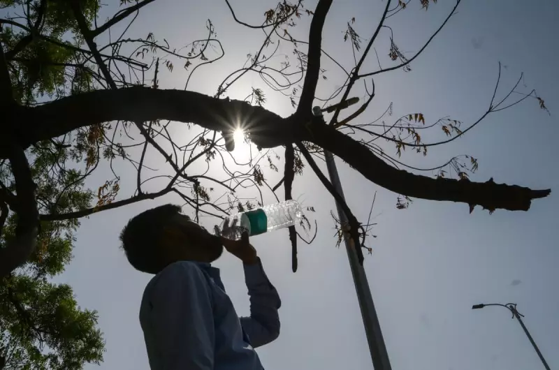 Trump's Climate Rollbacks Could Cause 1.3 Million Extra Deaths Globally