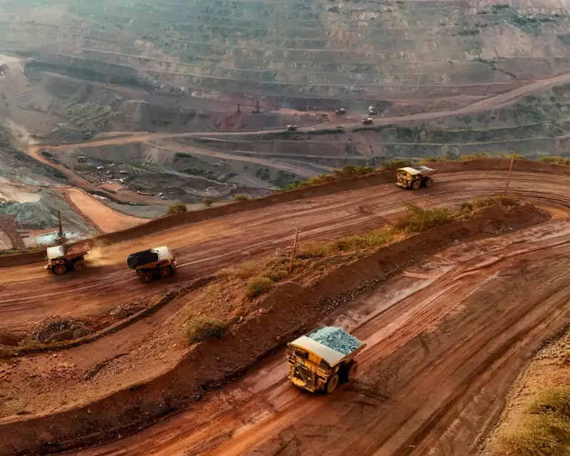 UK Abandons Crucial Amazon Rainforest Fund in Major Environmental Policy Shift