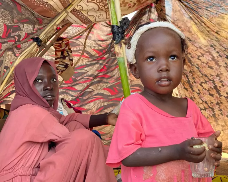 UK Aid Cuts Leave Sudanese Civilians Defenceless Against RSF Atrocities in El Fasher