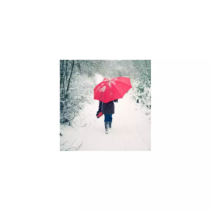 UK Cold Snap: £25 DWP Payments Triggered as Temperatures Plummet to -7°C