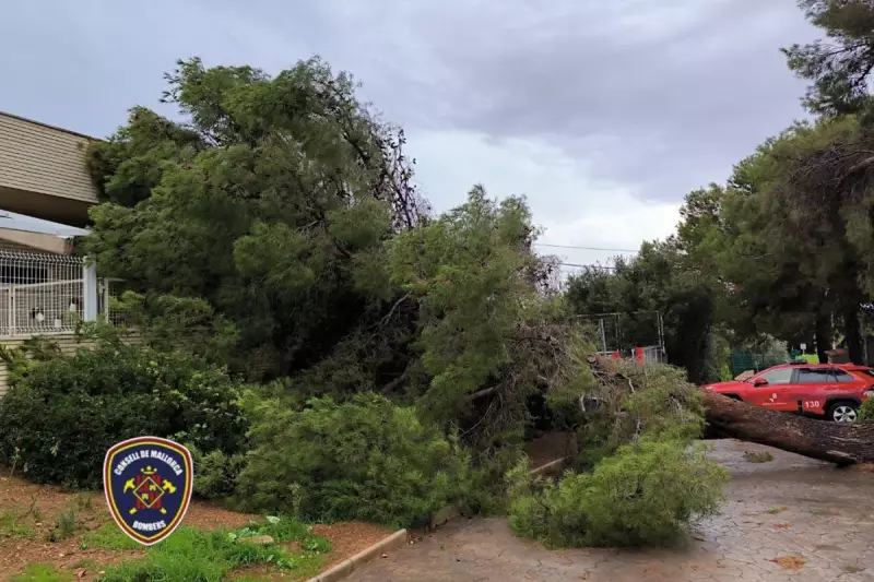 UK Faces Political Turmoil as PM's Rwanda Plan Sparks Constitutional Crisis