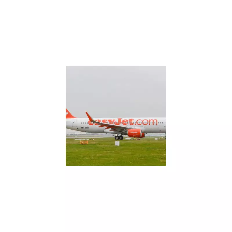 UK Social Worker Faces Seven Charges in Egypt Air Rage Incident