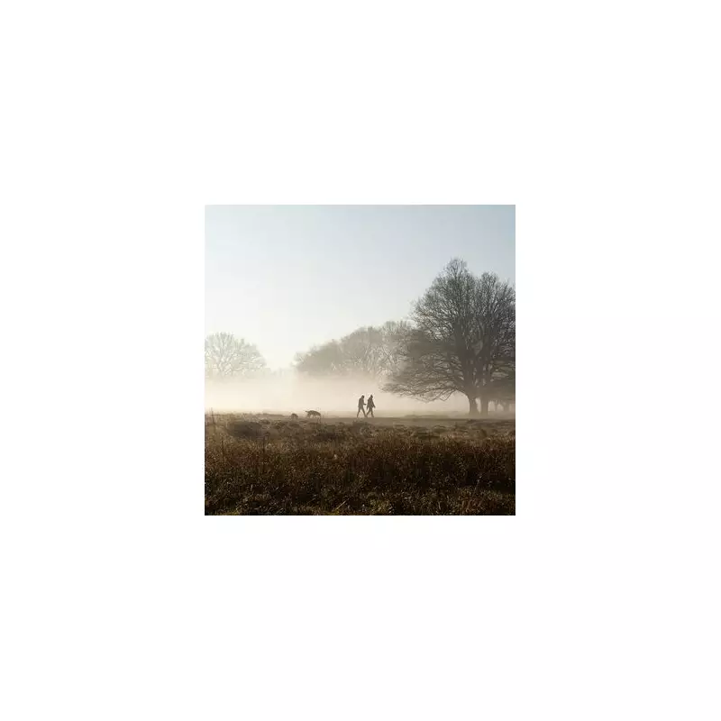 UK Weather Alert: Icy Arctic Blast Set to Trigger Widespread Snow and Travel Chaos