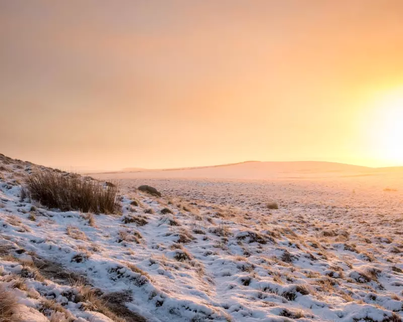 UK Weather: Amber Cold Health Alerts Issued for Northern England