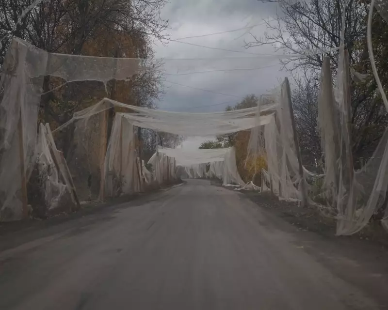 Ukraine Defies Odds: Fierce Resistance Continues in Embattled Pokrovsk Amid Russian Onslaught