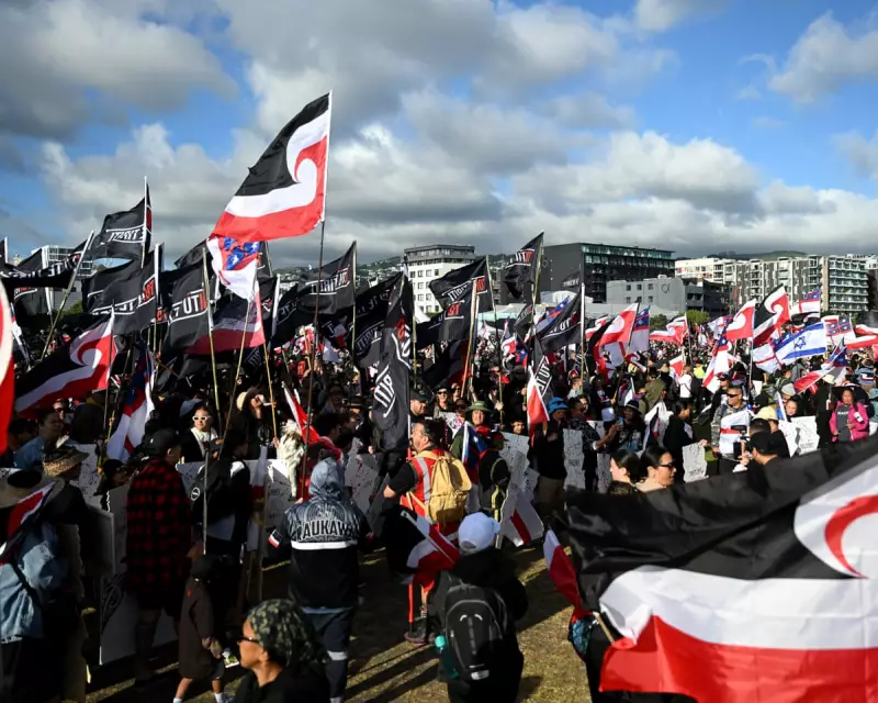 UN to Hear Urgent Māori Rights Complaint Against New Zealand Government