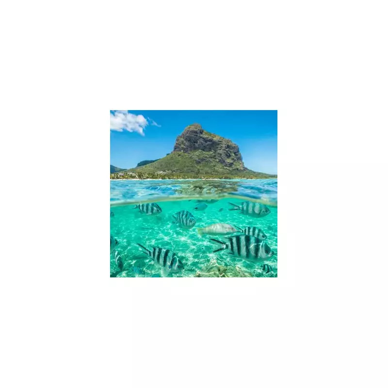 Unlock Paradise: How Visiting Just 12 Countries Grants You Mauritius Access