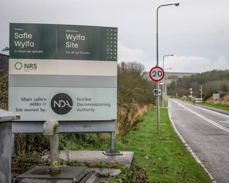 US and UK Forge Nuclear Power Partnership at Wylfa Site