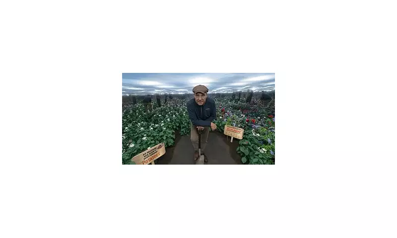 Vinnie Jones Clashes with Wildlife Trust Over Shooting Retreat Plans